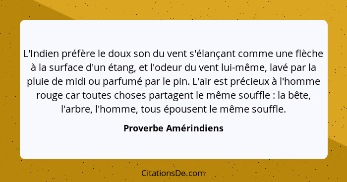 L'Indien préfère le doux son du vent s'élançant comme une flèche à la surface d'un étang, et l'odeur du vent lui-même, lavé par... - Proverbe Amérindiens