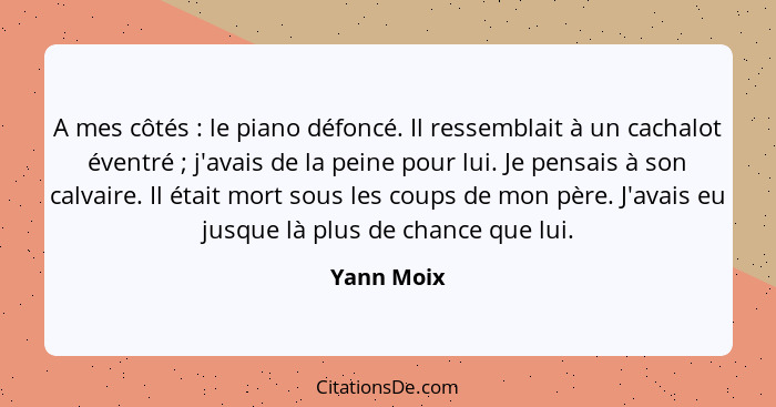 A mes côtés : le piano défoncé. Il ressemblait à un cachalot éventré ; j'avais de la peine pour lui. Je pensais à son calvaire.... - Yann Moix