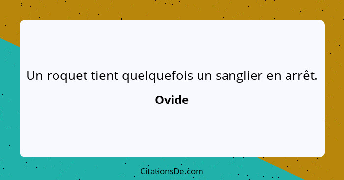 Un roquet tient quelquefois un sanglier en arrêt.... - Ovide