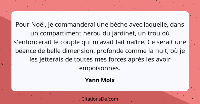 Pour Noël, je commanderai une bêche avec laquelle, dans un compartiment herbu du jardinet, un trou où s'enfoncerait le couple qui m'avait... - Yann Moix