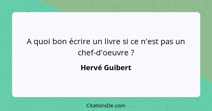 A quoi bon écrire un livre si ce n'est pas un chef-d'oeuvre ?... - Hervé Guibert