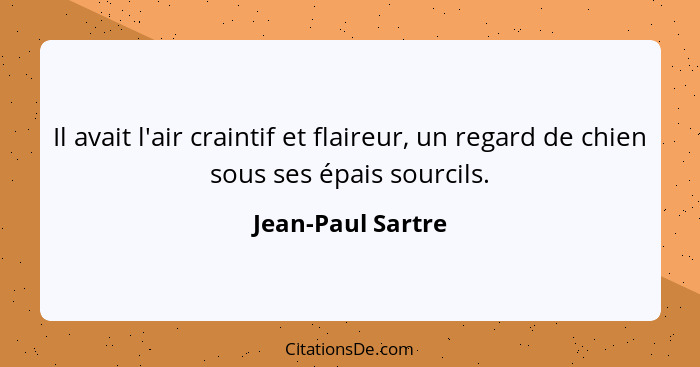 Il avait l'air craintif et flaireur, un regard de chien sous ses épais sourcils.... - Jean-Paul Sartre