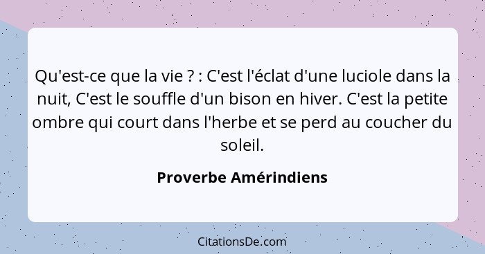 Qu'est-ce que la vie ? : C'est l'éclat d'une luciole dans la nuit, C'est le souffle d'un bison en hiver. C'est la pet... - Proverbe Amérindiens