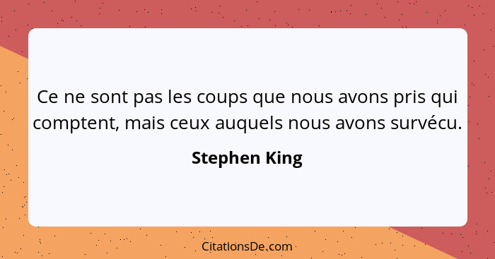 Ce ne sont pas les coups que nous avons pris qui comptent, mais ceux auquels nous avons survécu.... - Stephen King