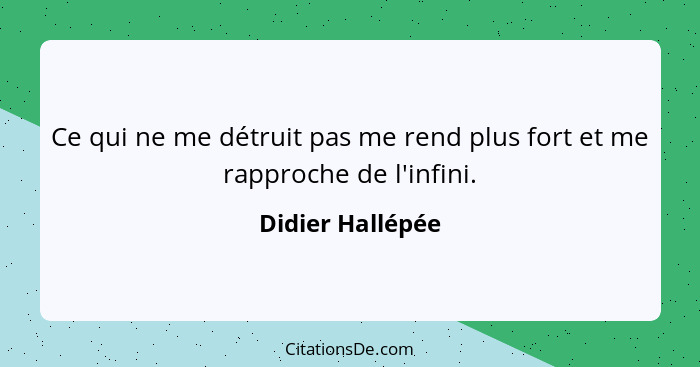 Ce qui ne me détruit pas me rend plus fort et me rapproche de l'infini.... - Didier Hallépée