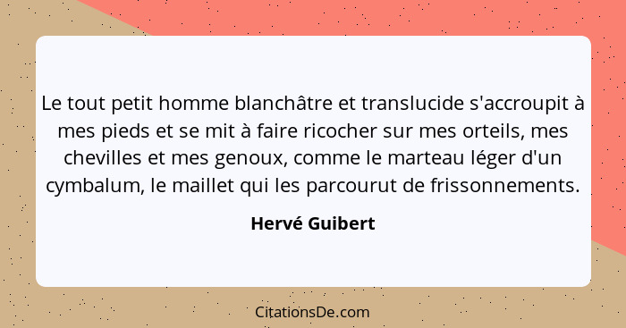 Le tout petit homme blanchâtre et translucide s'accroupit à mes pieds et se mit à faire ricocher sur mes orteils, mes chevilles et mes... - Hervé Guibert