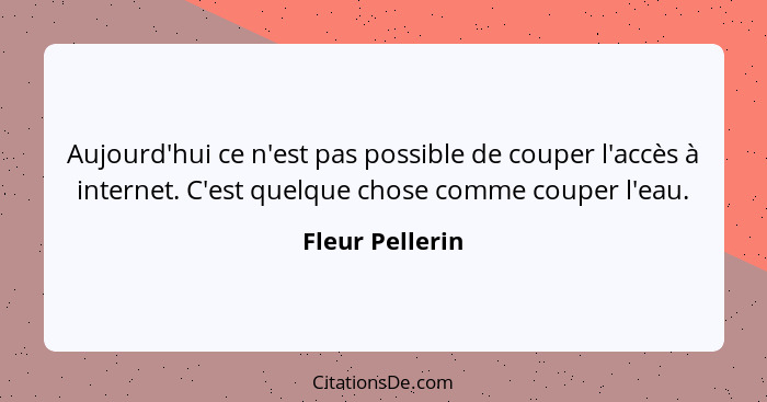 Aujourd'hui ce n'est pas possible de couper l'accès à internet. C'est quelque chose comme couper l'eau.... - Fleur Pellerin