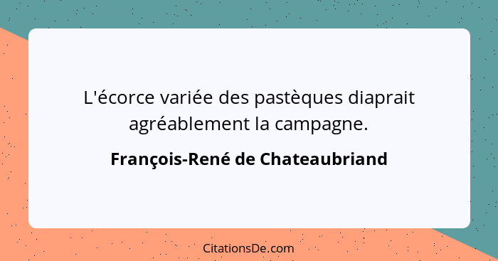 L'écorce variée des pastèques diaprait agréablement la campagne.... - François-René de Chateaubriand