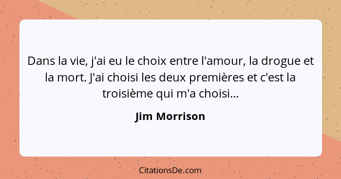 Dans la vie, j'ai eu le choix entre l'amour, la drogue et la mort. J'ai choisi les deux premières et c'est la troisième qui m'a choisi.... - Jim Morrison