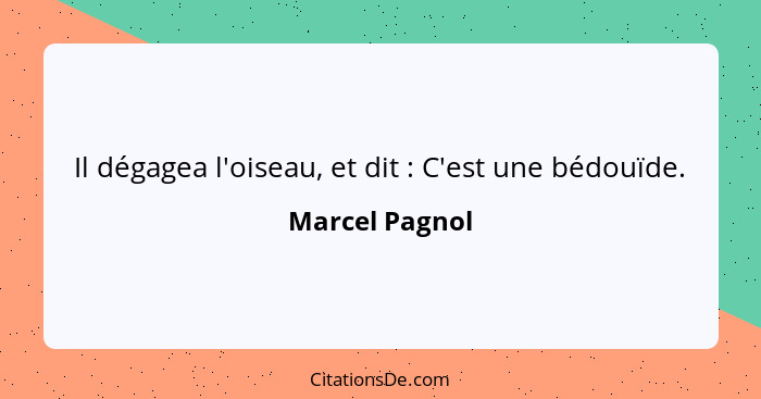 Il dégagea l'oiseau, et dit : C'est une bédouïde.... - Marcel Pagnol