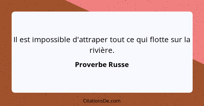 Il est impossible d'attraper tout ce qui flotte sur la rivière.... - Proverbe Russe