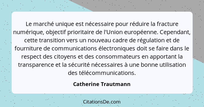Le marché unique est nécessaire pour réduire la fracture numérique, objectif prioritaire de l'Union européenne. Cependant, cette... - Catherine Trautmann