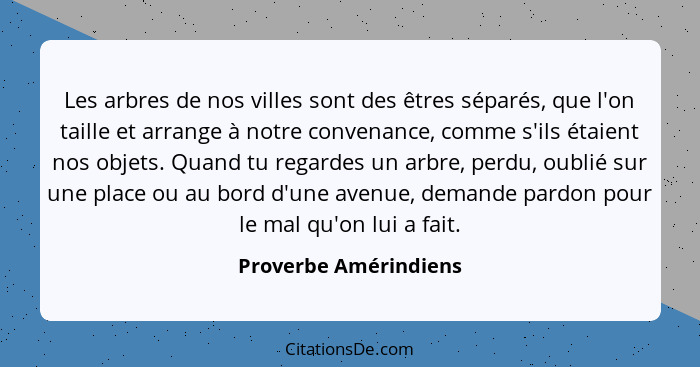 Les arbres de nos villes sont des êtres séparés, que l'on taille et arrange à notre convenance, comme s'ils étaient nos objets.... - Proverbe Amérindiens