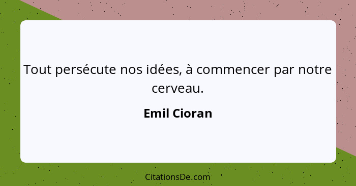 Tout persécute nos idées, à commencer par notre cerveau.... - Emil Cioran