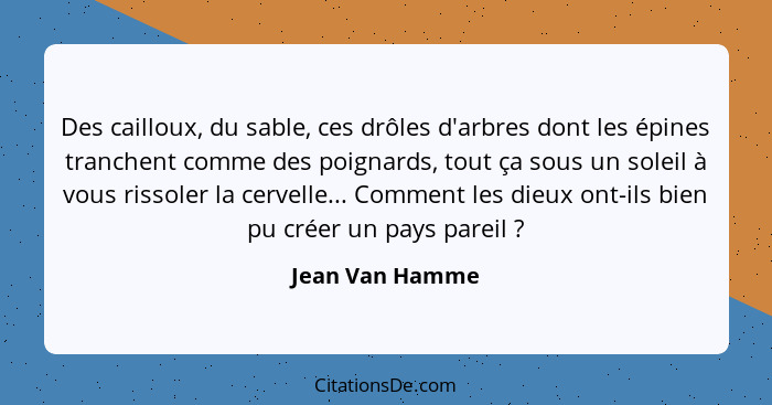 Des cailloux, du sable, ces drôles d'arbres dont les épines tranchent comme des poignards, tout ça sous un soleil à vous rissoler la... - Jean Van Hamme