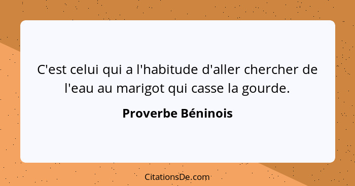 C'est celui qui a l'habitude d'aller chercher de l'eau au marigot qui casse la gourde.... - Proverbe Béninois