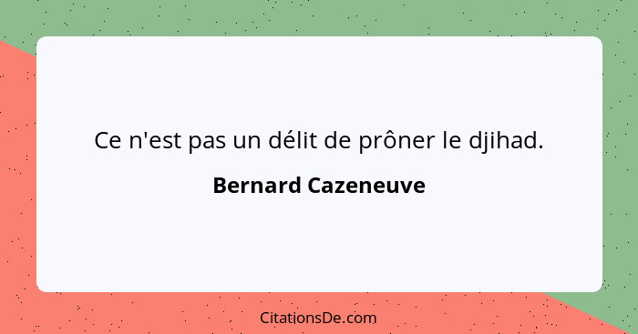 Ce n'est pas un délit de prôner le djihad.... - Bernard Cazeneuve