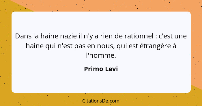 Dans la haine nazie il n'y a rien de rationnel : c'est une haine qui n'est pas en nous, qui est étrangère à l'homme.... - Primo Levi