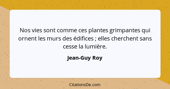 Nos vies sont comme ces plantes grimpantes qui ornent les murs des édifices ; elles cherchent sans cesse la lumière.... - Jean-Guy Roy