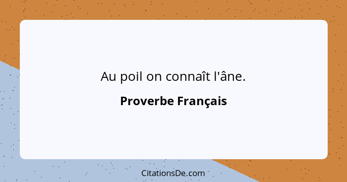 Au poil on connaît l'âne.... - Proverbe Français