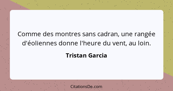 Comme des montres sans cadran, une rangée d'éoliennes donne l'heure du vent, au loin.... - Tristan Garcia