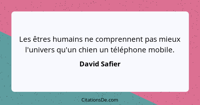 Les êtres humains ne comprennent pas mieux l'univers qu'un chien un téléphone mobile.... - David Safier