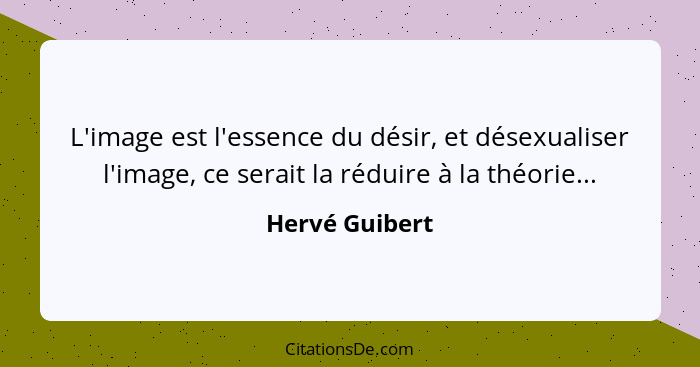 L'image est l'essence du désir, et désexualiser l'image, ce serait la réduire à la théorie...... - Hervé Guibert