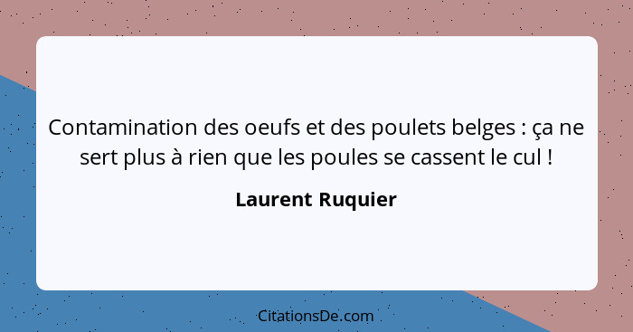 Contamination des oeufs et des poulets belges : ça ne sert plus à rien que les poules se cassent le cul !... - Laurent Ruquier