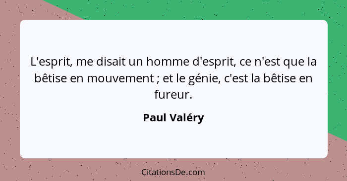 L'esprit, me disait un homme d'esprit, ce n'est que la bêtise en mouvement ; et le génie, c'est la bêtise en fureur.... - Paul Valéry