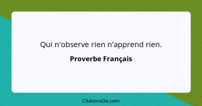 Qui n'observe rien n'apprend rien.... - Proverbe Français