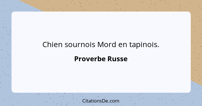 Chien sournois Mord en tapinois.... - Proverbe Russe