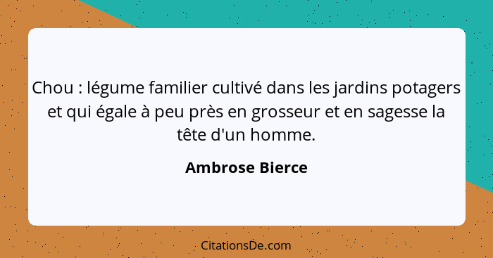 Chou : légume familier cultivé dans les jardins potagers et qui égale à peu près en grosseur et en sagesse la tête d'un homme.... - Ambrose Bierce