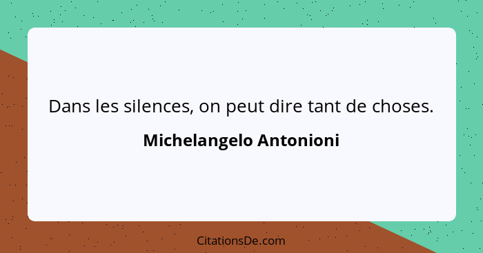 Dans les silences, on peut dire tant de choses.... - Michelangelo Antonioni
