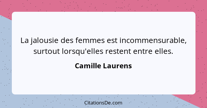 La jalousie des femmes est incommensurable, surtout lorsqu'elles restent entre elles.... - Camille Laurens