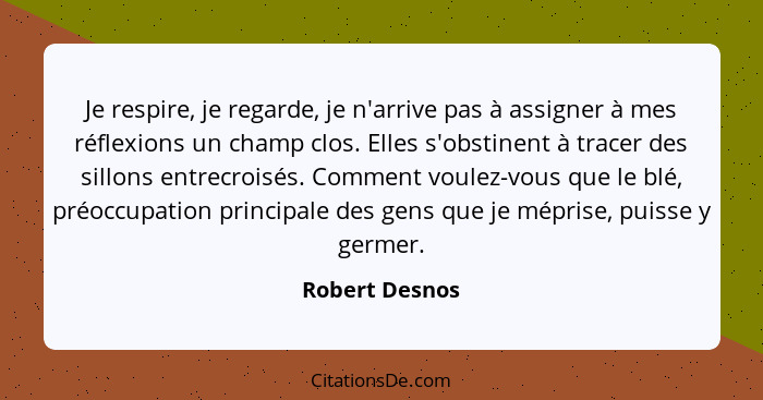 Je respire, je regarde, je n'arrive pas à assigner à mes réflexions un champ clos. Elles s'obstinent à tracer des sillons entrecroisés... - Robert Desnos