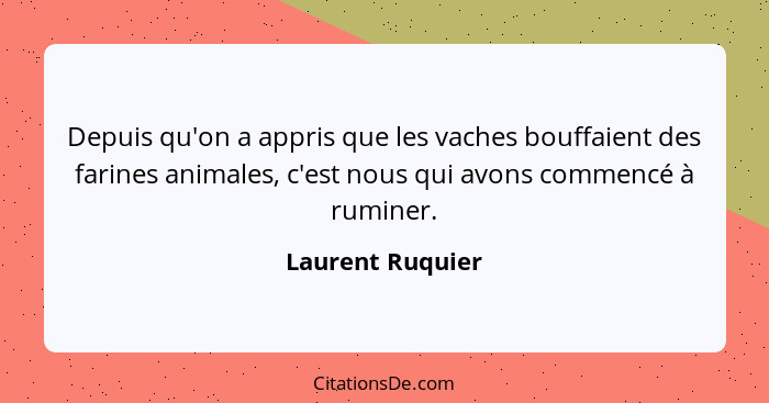 Depuis qu'on a appris que les vaches bouffaient des farines animales, c'est nous qui avons commencé à ruminer.... - Laurent Ruquier