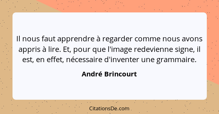 Il nous faut apprendre à regarder comme nous avons appris à lire. Et, pour que l'image redevienne signe, il est, en effet, nécessair... - André Brincourt