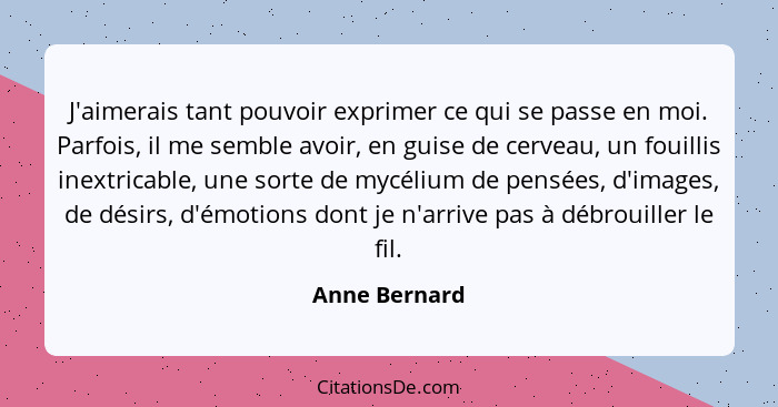 J'aimerais tant pouvoir exprimer ce qui se passe en moi. Parfois, il me semble avoir, en guise de cerveau, un fouillis inextricable, un... - Anne Bernard