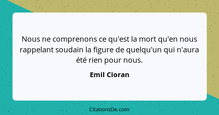 Nous ne comprenons ce qu'est la mort qu'en nous rappelant soudain la figure de quelqu'un qui n'aura été rien pour nous.... - Emil Cioran