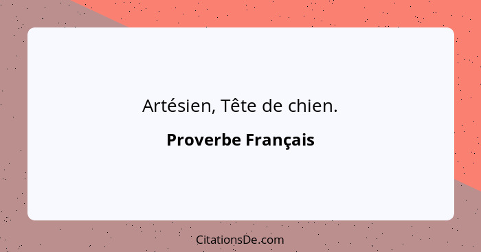 Artésien, Tête de chien.... - Proverbe Français