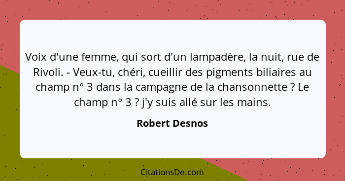 Voix d'une femme, qui sort d'un lampadère, la nuit, rue de Rivoli. - Veux-tu, chéri, cueillir des pigments biliaires au champ n° 3 dan... - Robert Desnos