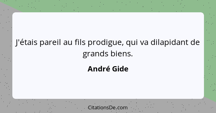 J'étais pareil au fils prodigue, qui va dilapidant de grands biens.... - André Gide