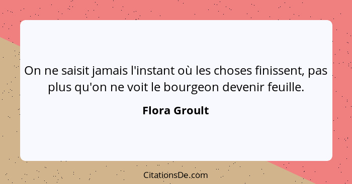 On ne saisit jamais l'instant où les choses finissent, pas plus qu'on ne voit le bourgeon devenir feuille.... - Flora Groult