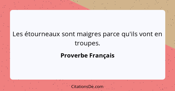 Les étourneaux sont maigres parce qu'ils vont en troupes.... - Proverbe Français