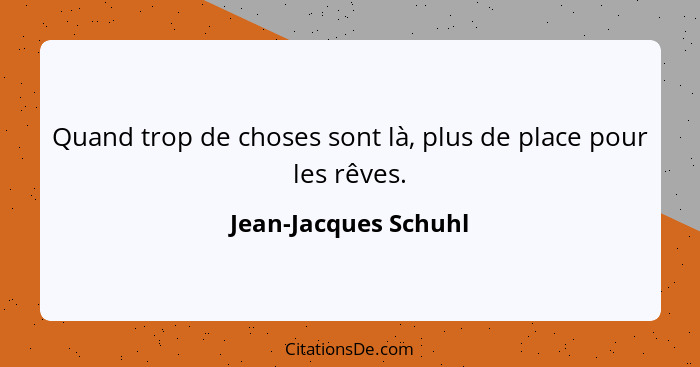 Quand trop de choses sont là, plus de place pour les rêves.... - Jean-Jacques Schuhl