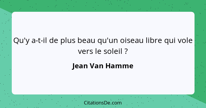 Qu'y a-t-il de plus beau qu'un oiseau libre qui vole vers le soleil ?... - Jean Van Hamme