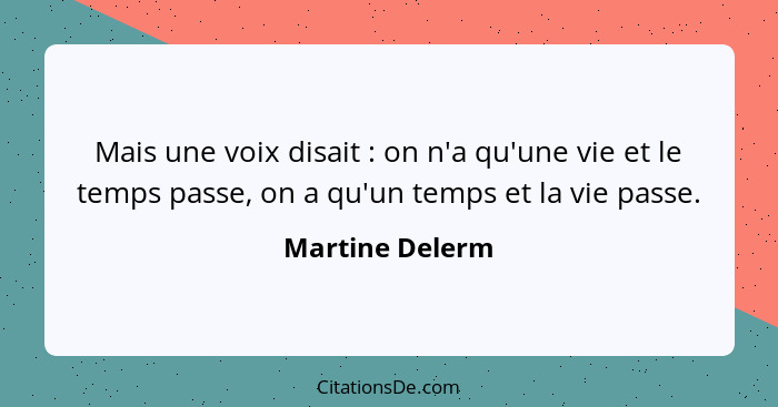 Mais une voix disait : on n'a qu'une vie et le temps passe, on a qu'un temps et la vie passe.... - Martine Delerm