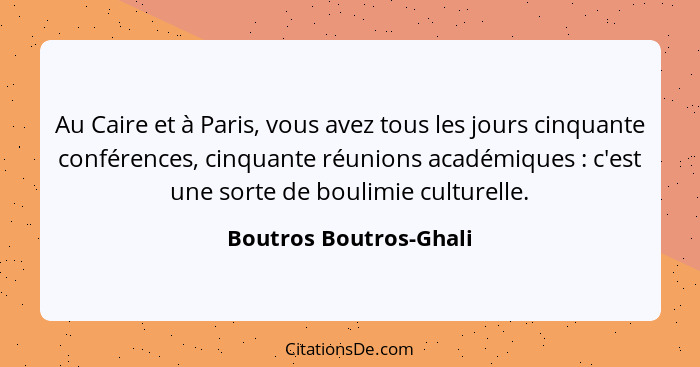 Au Caire et à Paris, vous avez tous les jours cinquante conférences, cinquante réunions académiques : c'est une sorte de... - Boutros Boutros-Ghali