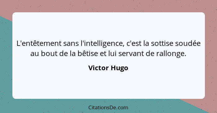 L'entêtement sans l'intelligence, c'est la sottise soudée au bout de la bêtise et lui servant de rallonge.... - Victor Hugo