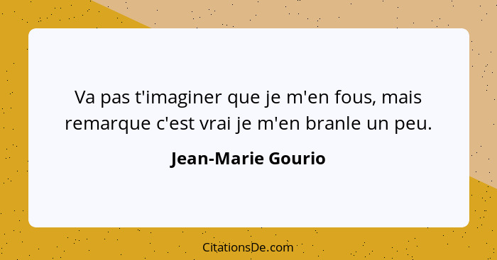 Va pas t'imaginer que je m'en fous, mais remarque c'est vrai je m'en branle un peu.... - Jean-Marie Gourio